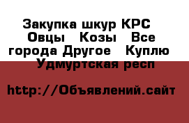 Закупка шкур КРС , Овцы , Козы - Все города Другое » Куплю   . Удмуртская респ.